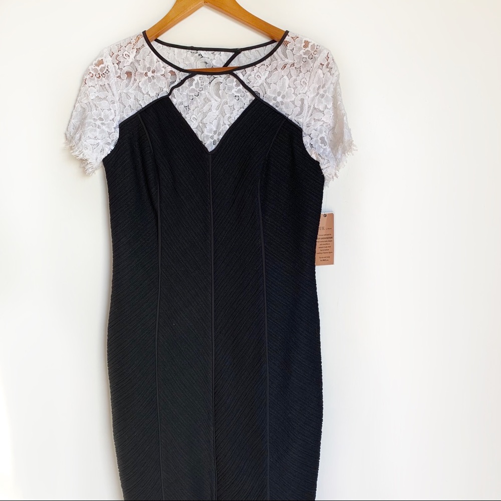 Nue by Shani black sheath dress w/white lace neck